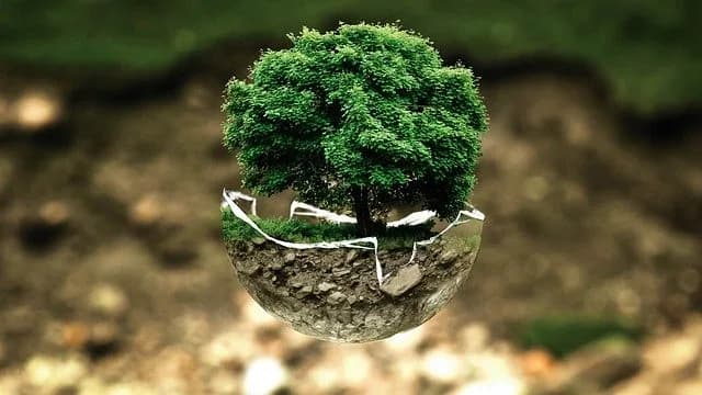ESG Bonds