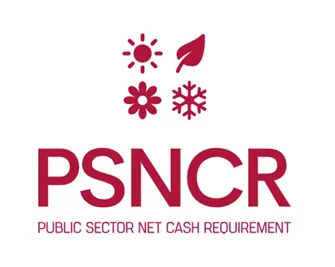 PSNCR and the Seasonality of Local Authority Borrowing