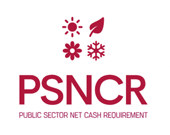 PSNCR and the Seasonality of Local Authority Borrowing